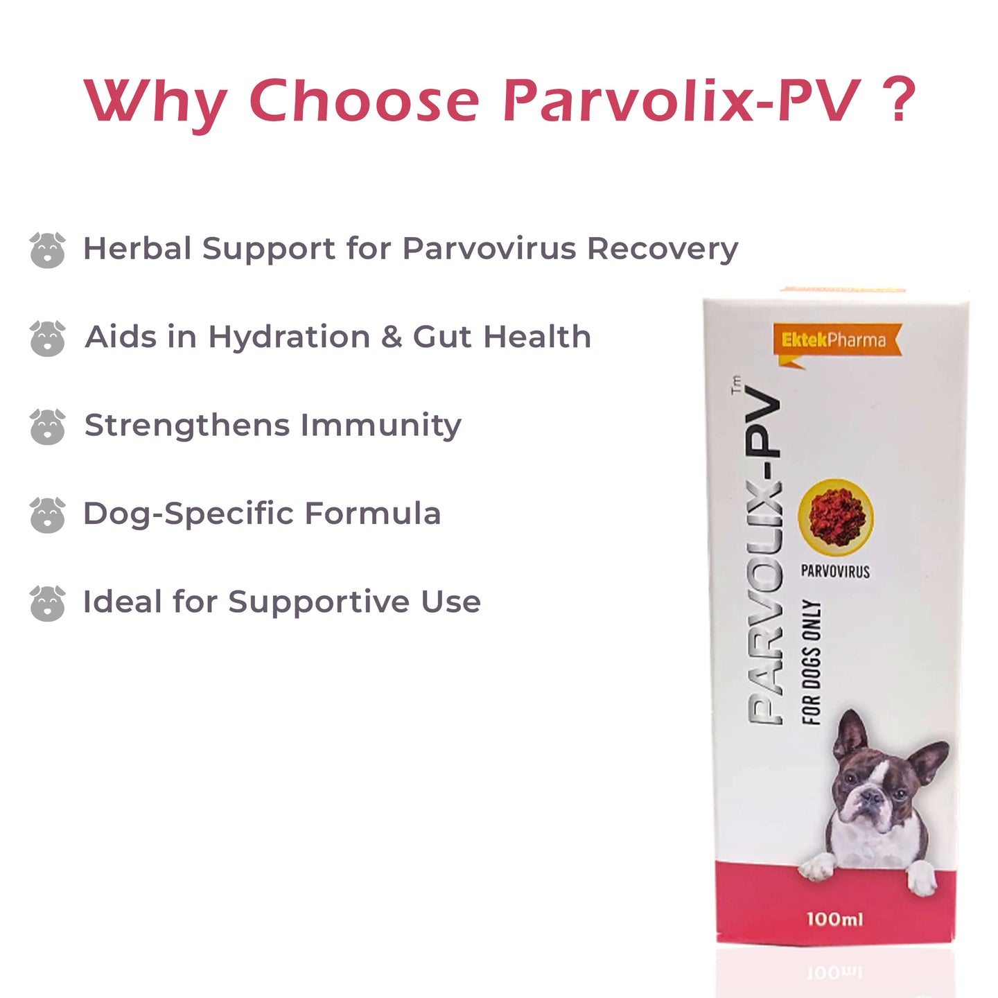 Parvolix-PV Drops -100ml ( For Treatment of Parvo Virus Disease) for Dogs